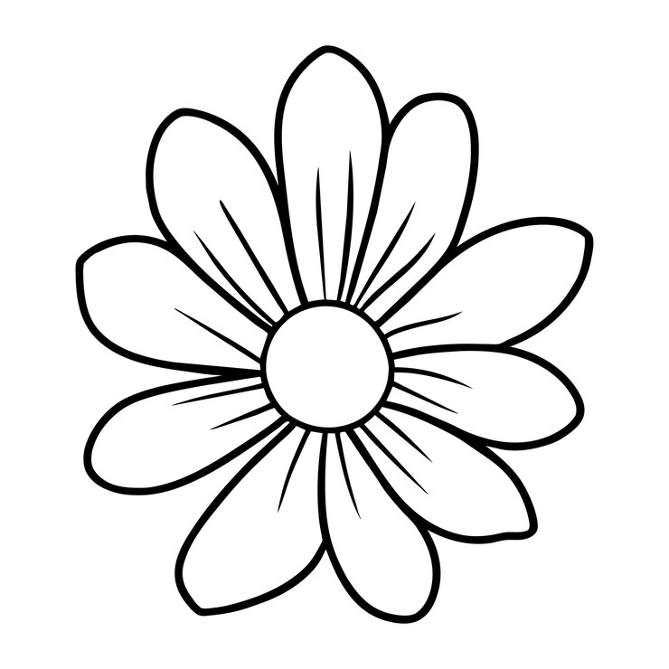 Vector 11 floral line art