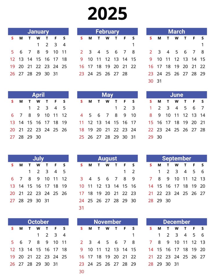 Vector 2025 english vector calendar modern clean design with 12 months customizable for digital use