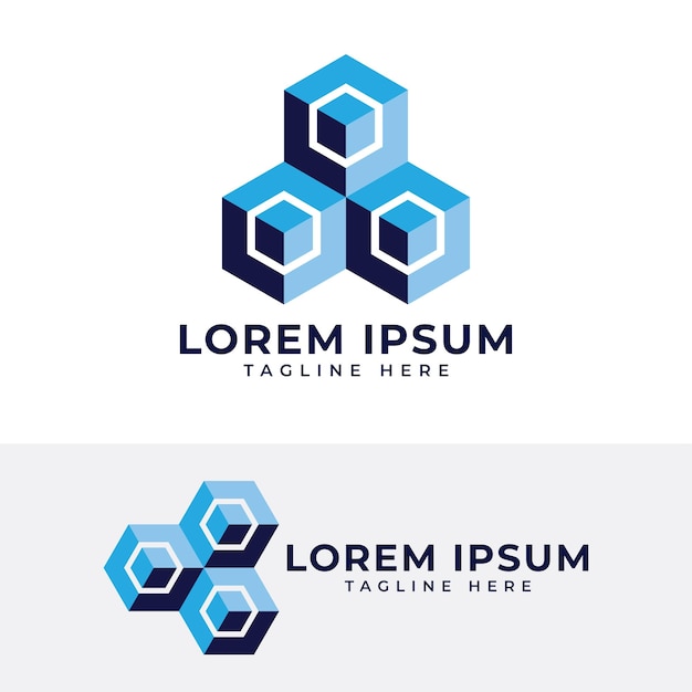 3d isometric box logo design hexagon shape