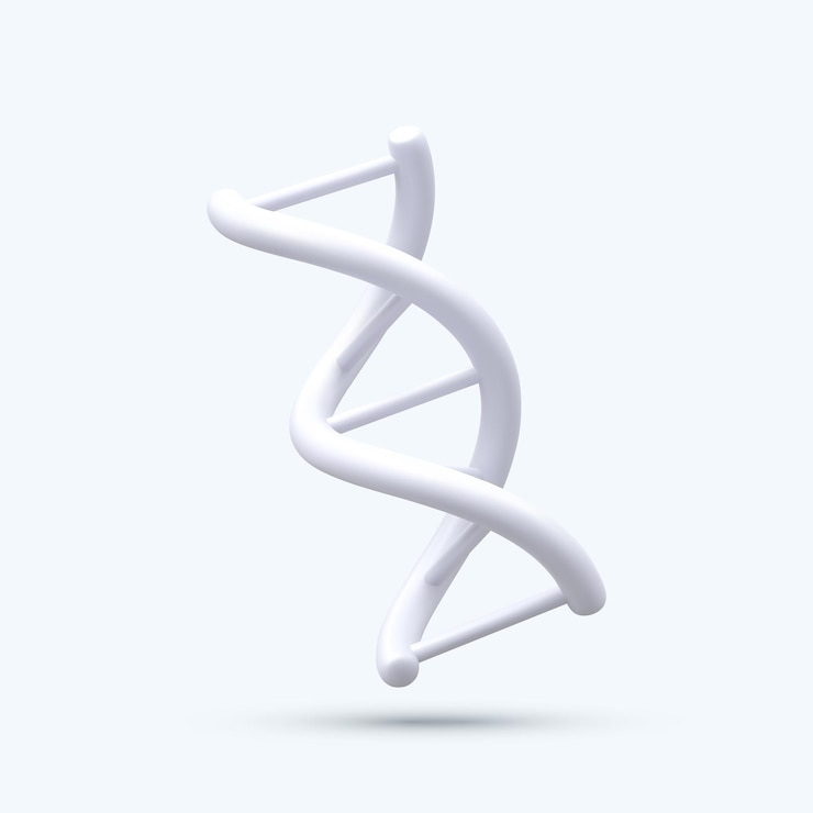 Vector 3d realistic medical spiral genetic dna isolated in white background banner for molecular chemistry physics science biochemistry in cartoon style vector illustration