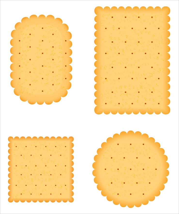 Vector a biscuit vector