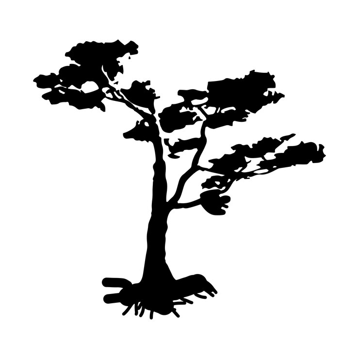 Vector a black and white drawing of a tree with the word bonsai on it