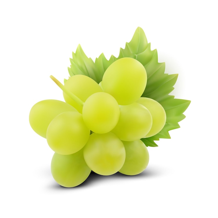 A bunch of realistic green grapes