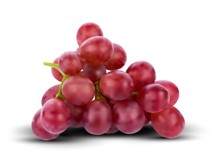 A bunch of red grapes realistic vector