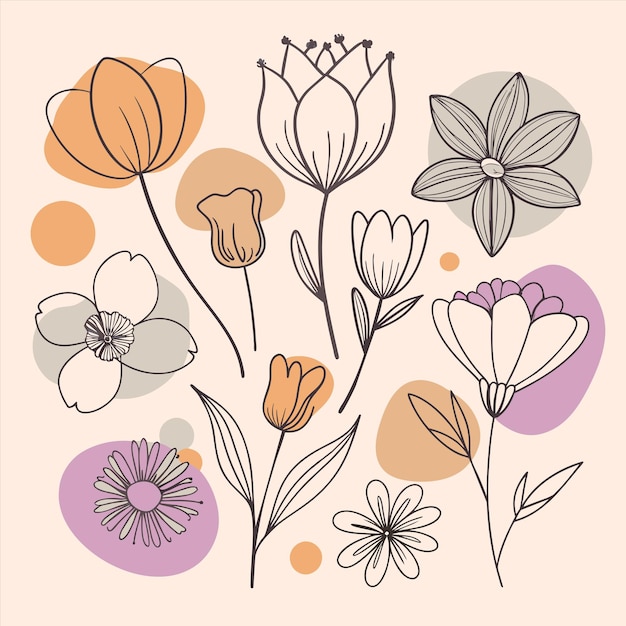 a collection of flowers including one with the name quot spring quot