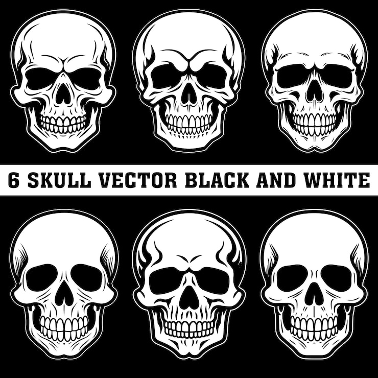 a collection of skulls and white and black and white