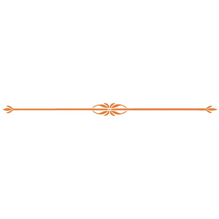Vector a decorative orange design on a white background