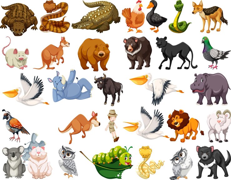 Vector a diverse set of isolated animals in white illustration a set of twelve animals as symbols