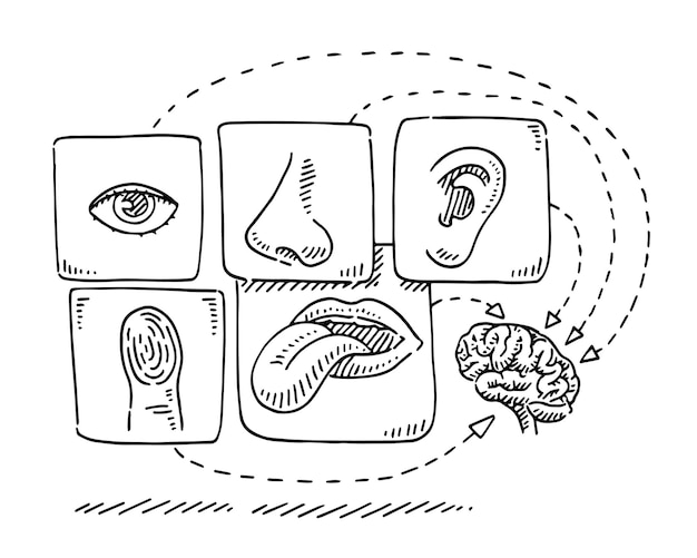 a drawing of a diagram that shows the different types of objects