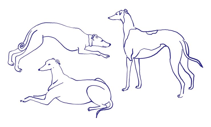 Vector a drawing of a dog and a dog with a ribbon around it