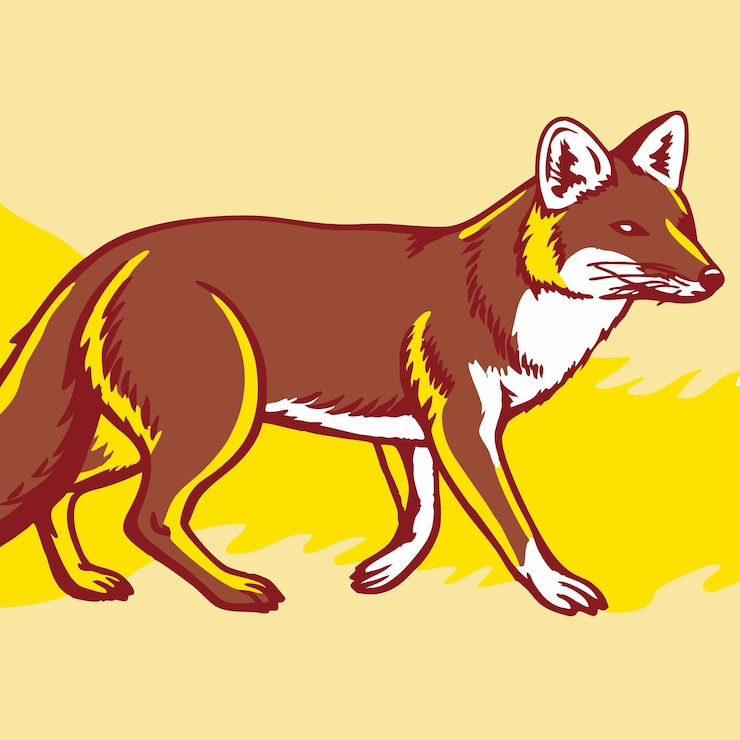 Vector a drawing of a fox that is on a yellow background