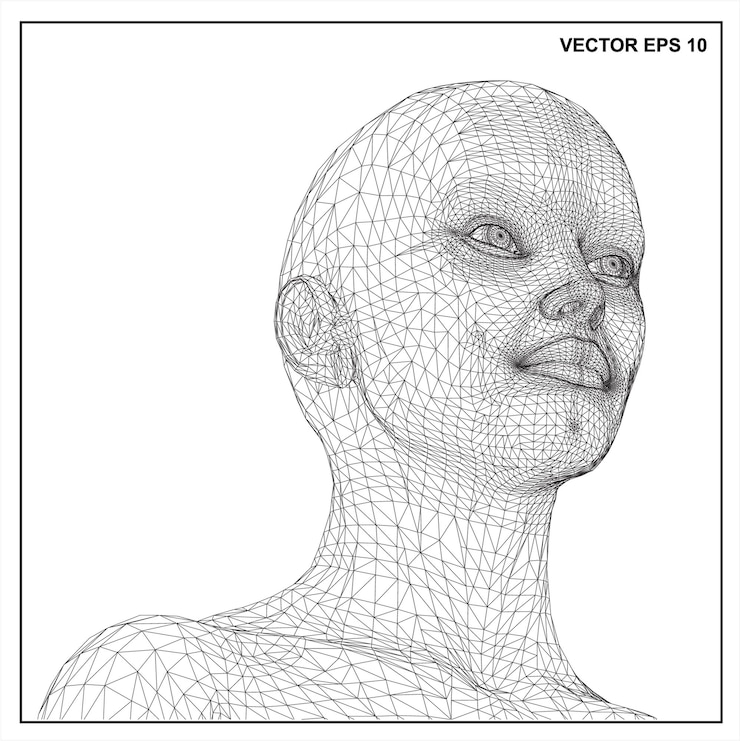 Vector a drawing of a human head with a grid of lines on it