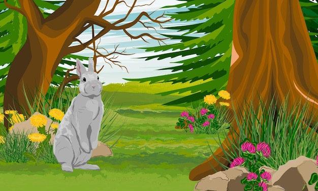 A gray rabbit stands at the edge of a mixed forest with clover and dandelion wildflowers