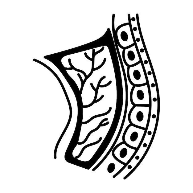 A hand drawn icon of an endometrium layer