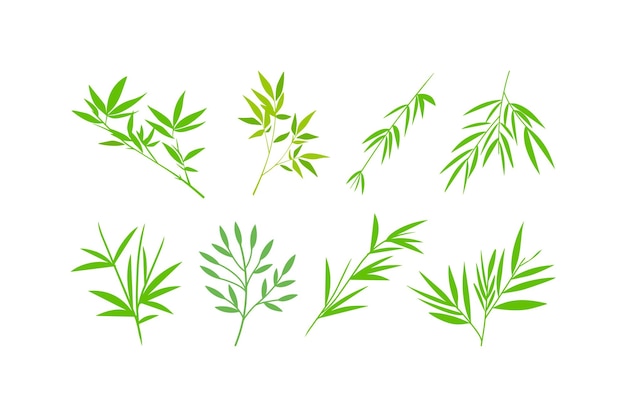 a line of bamboo leaves with the leaves drawn on them