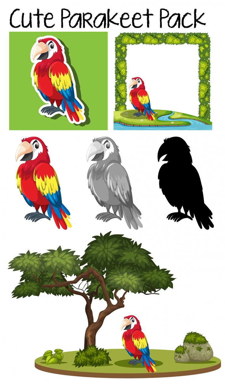 Vector a pack of cute parrot