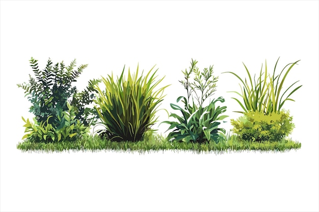 a painting of plants with the name of the artist