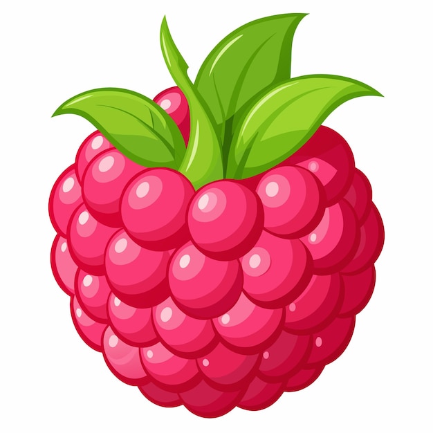 a red raspberry vector illustration