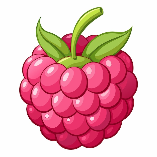 a red raspberry vector illustration