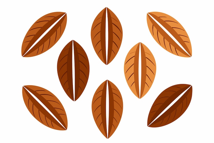Vector a set of brown leaves with a white background