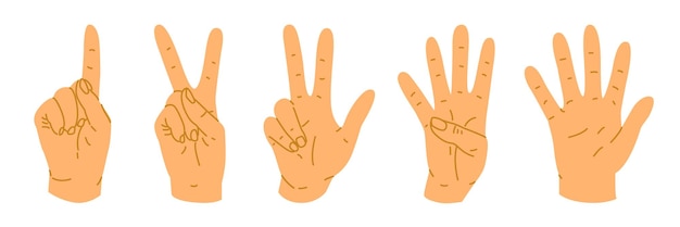 a set of hand gestures demonstrating counting on fingers count to five the hand shows the number