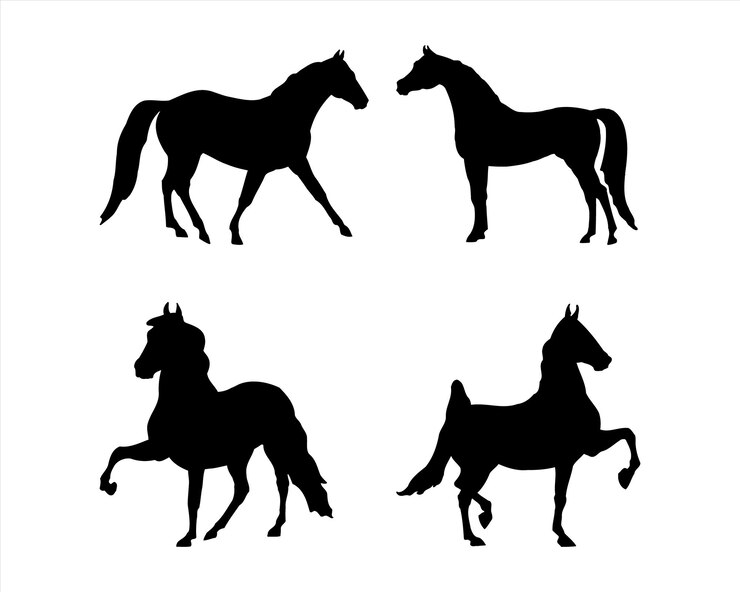 A set of highquality detailed horse silhouettes