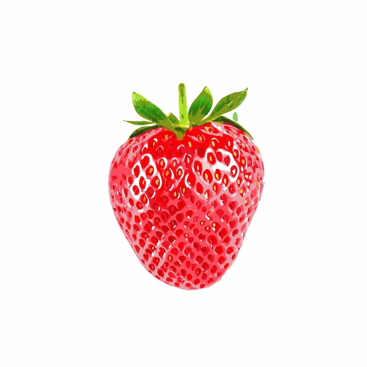 Vector a single ripe strawberry