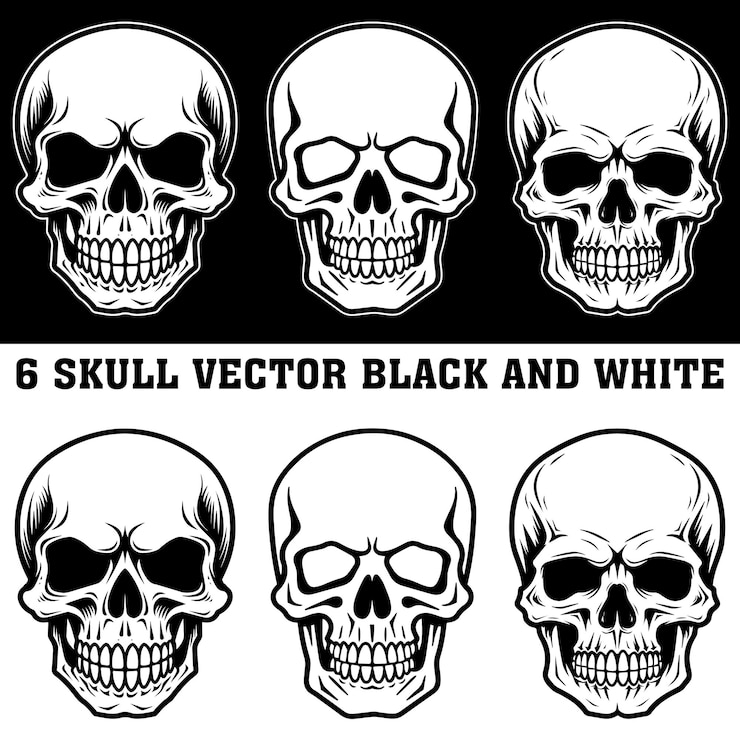 a skull and white and black and white skull with a black background