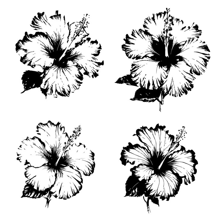 A stunning handdrawn illustration of a vibrant hibiscus flower