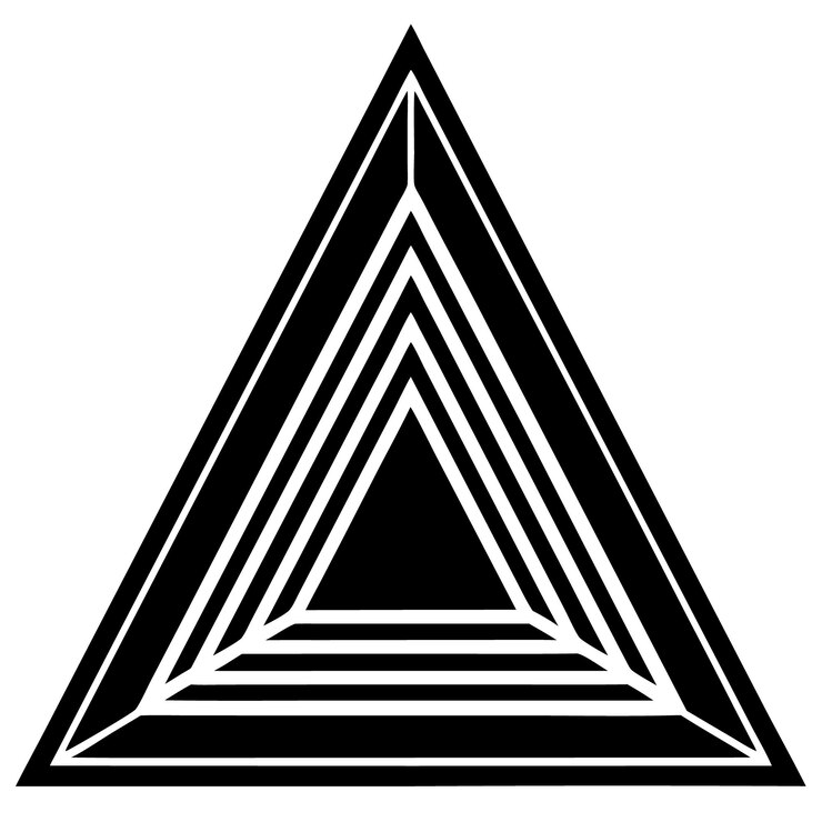 Vector a triangle that is black and white
