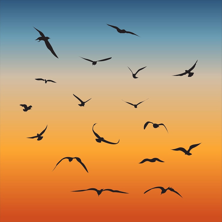 Vector a vector collection or birds flying in a horizon