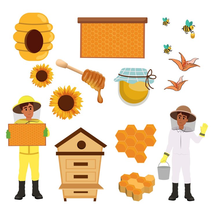 Vector a very welldesigned diversity of illustrations