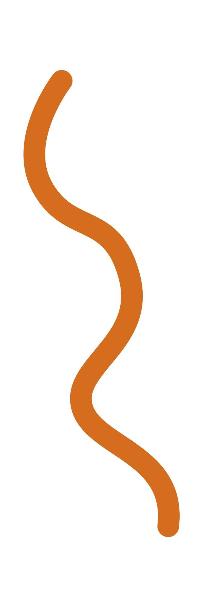 Vector abstract african curly line flat icon