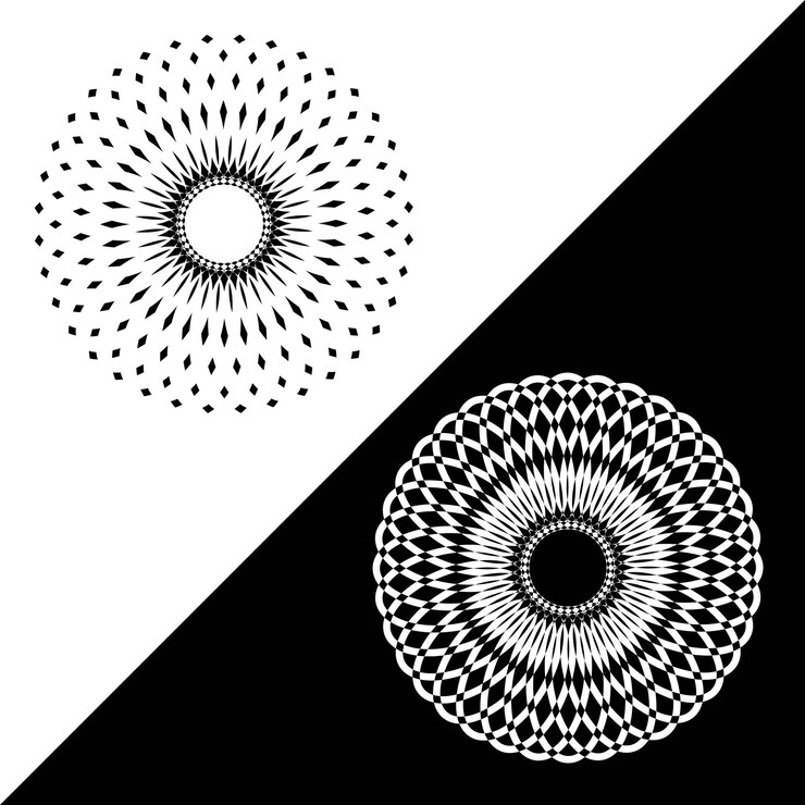 Vector abstract circular spiral vectors