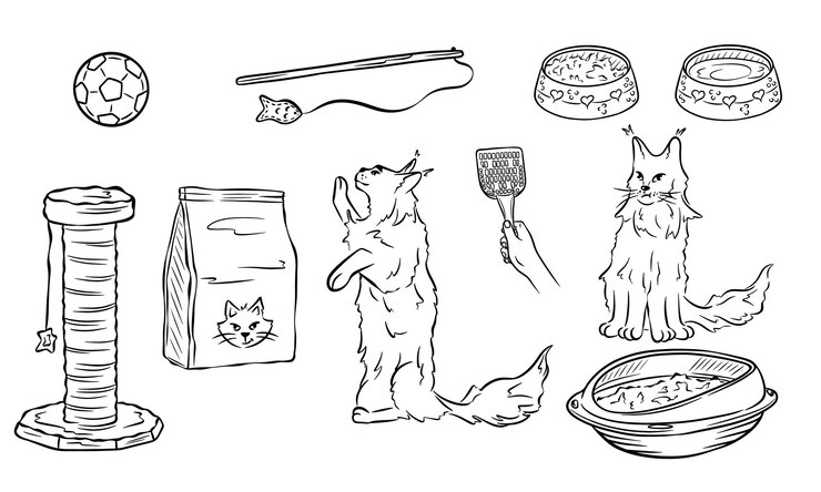 Accessories for cats in sketch style Cats cat food litter box toys