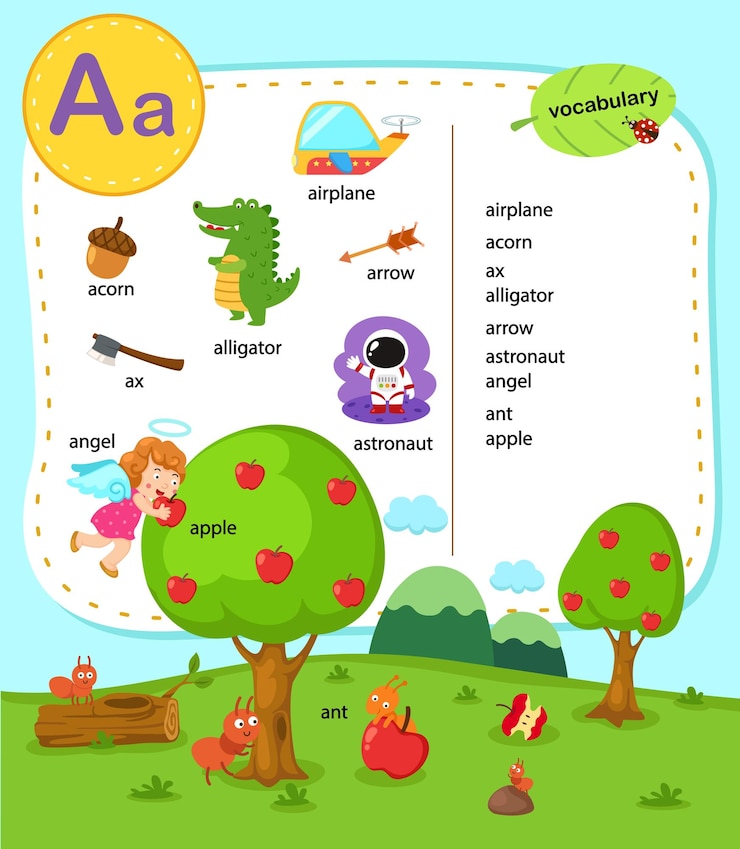 Vector alphabet letter a education vocabulary illustration vecto