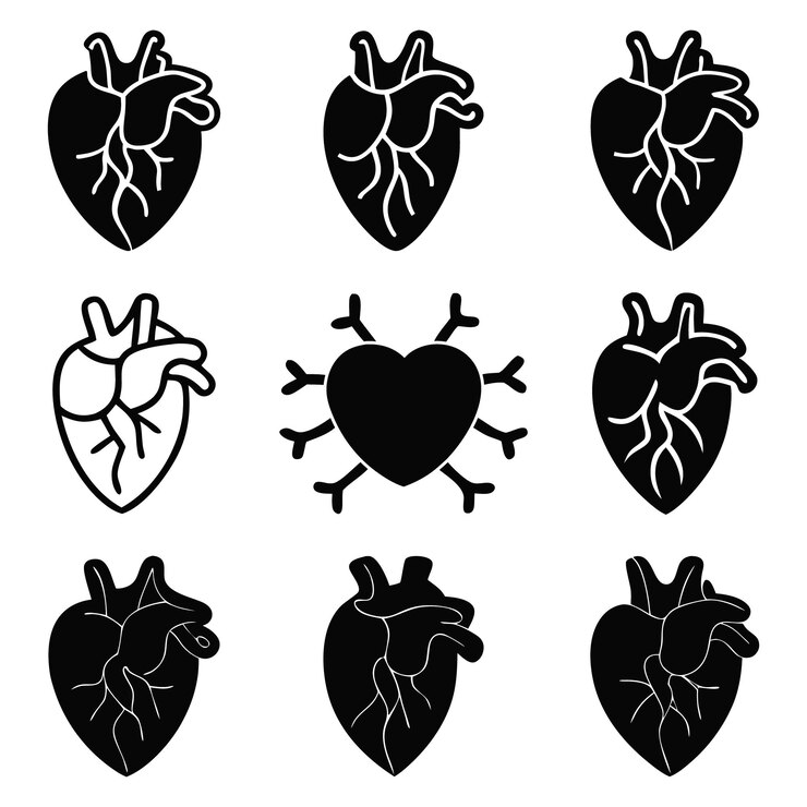 Vector anatomical heart icons black silhouettes