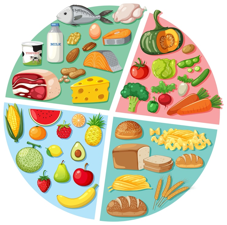 Vector aneka ragam makanan sehat yang berwarna-warni