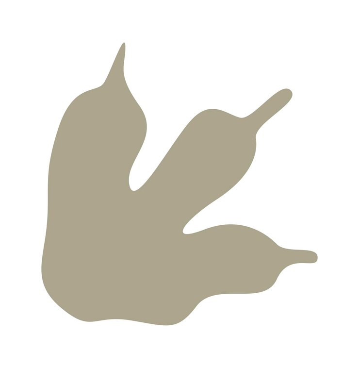 Animal Footprint Silhouette Vector Illustration