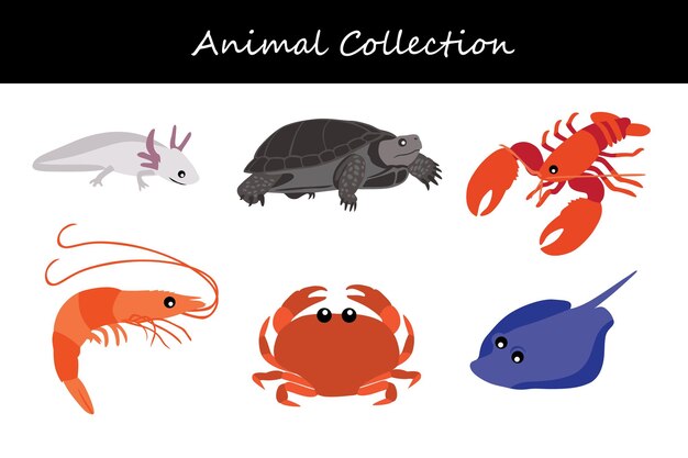 animals collection flat style vector illustration