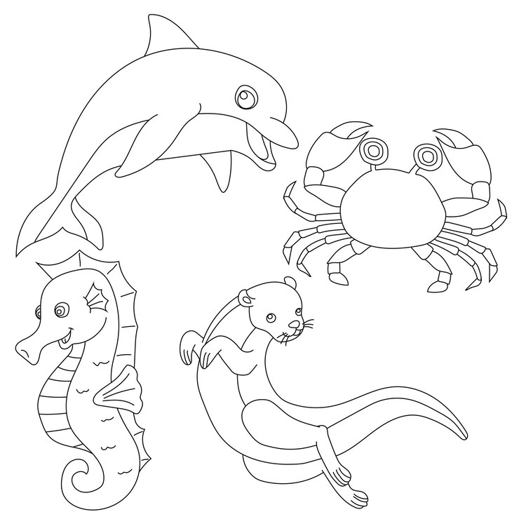 Vector aquatic animals clipart set of sea life and ocean creatures