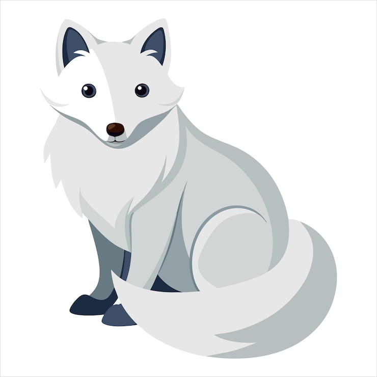 arctic fox vector art wildlife animal illustration winter cold climate fox design northern an