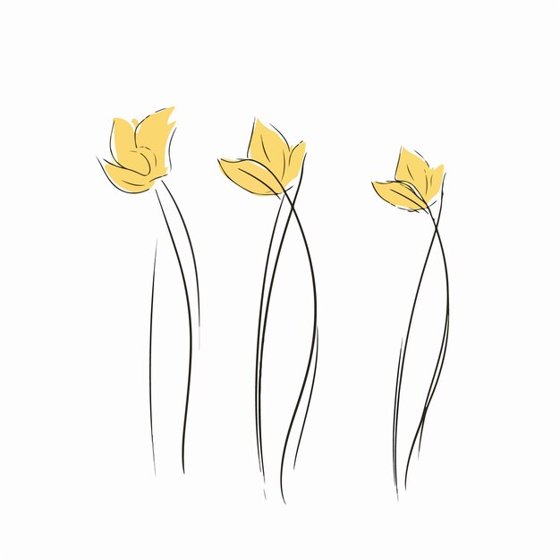 artistic interpretation of a daffodil in an outline style
