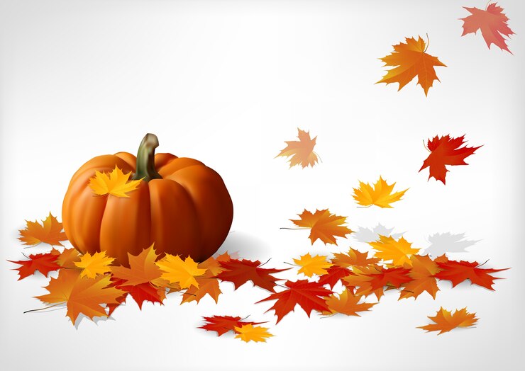 Vector autumn and pumpkins white background