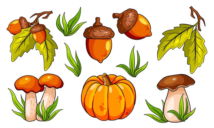 Autumn set. Collection of autumn items. Mushrooms, pumpkin, acorns, grass, oak leaves. Cartoon style. Vector illustration for design and decoration.