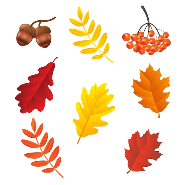 Autumn Set