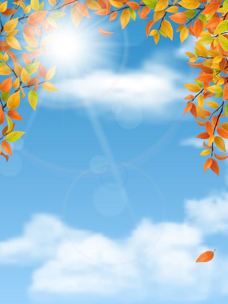 Vector autumn trees branches on sky background