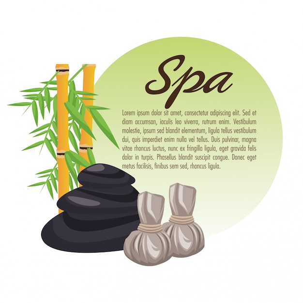Bamboo and stones icon. Spa center and healthy lifestyle theme