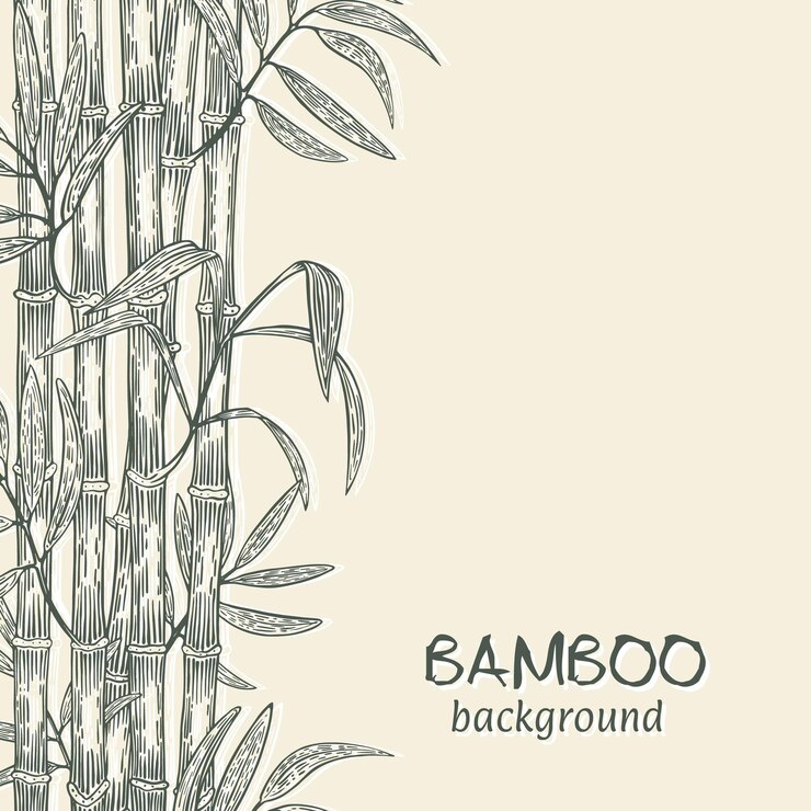 Banner with bamboo sketch vector illustration eps