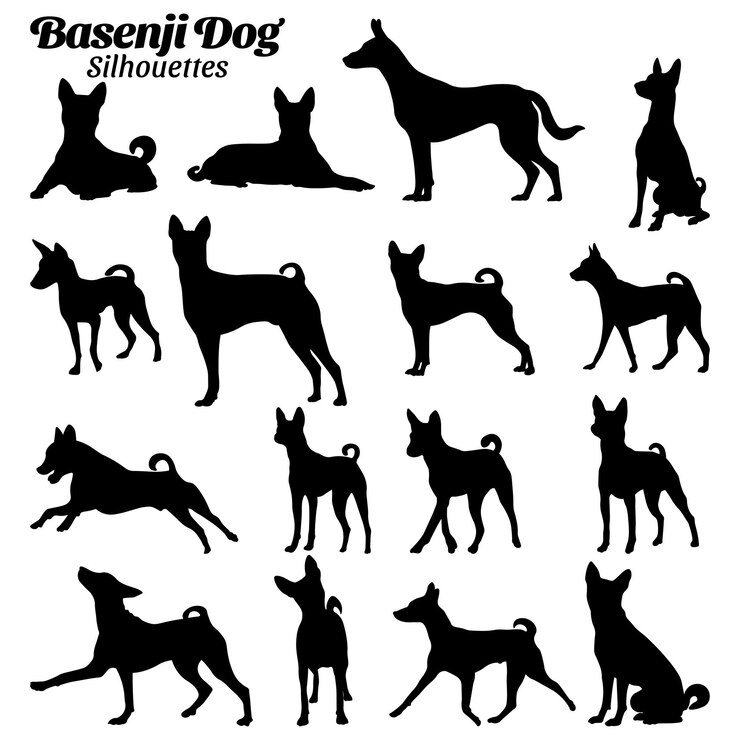 Basenji dog silhouettes vector illustration set